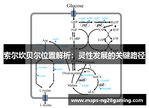 索尔坎贝尔位置解析:灵性发展的关键路径 索尔坎贝尔位置解析:灵性发展的关键路径