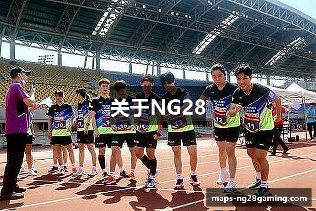 关于NG28